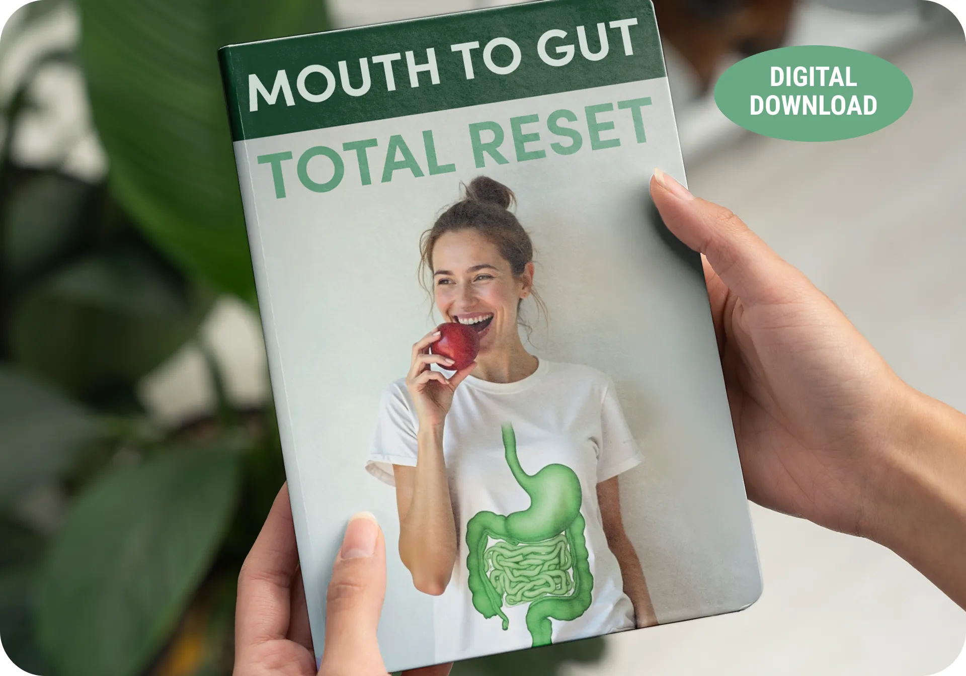 OxyDental Pro bonus 2